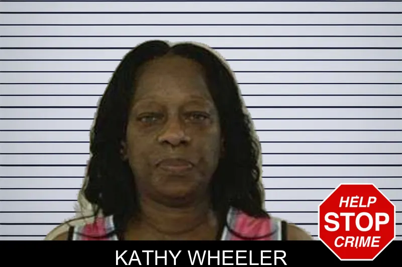 Kathy Wheeler mugshot