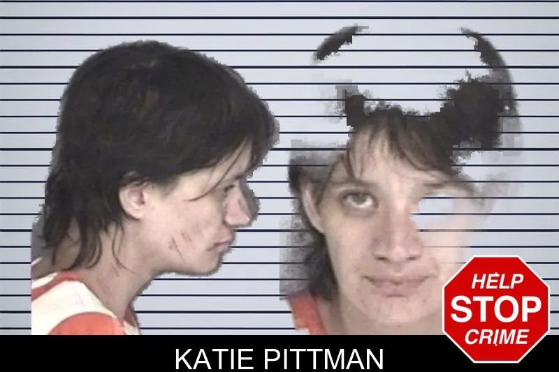 Katie Pittman mugshot