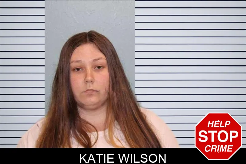 Katie Wilson mugshot