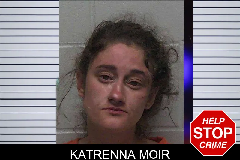 Katrenna Moir mugshot
