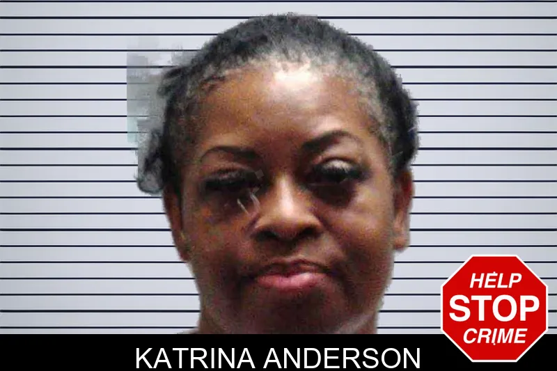 Katrina Anderson mugshot