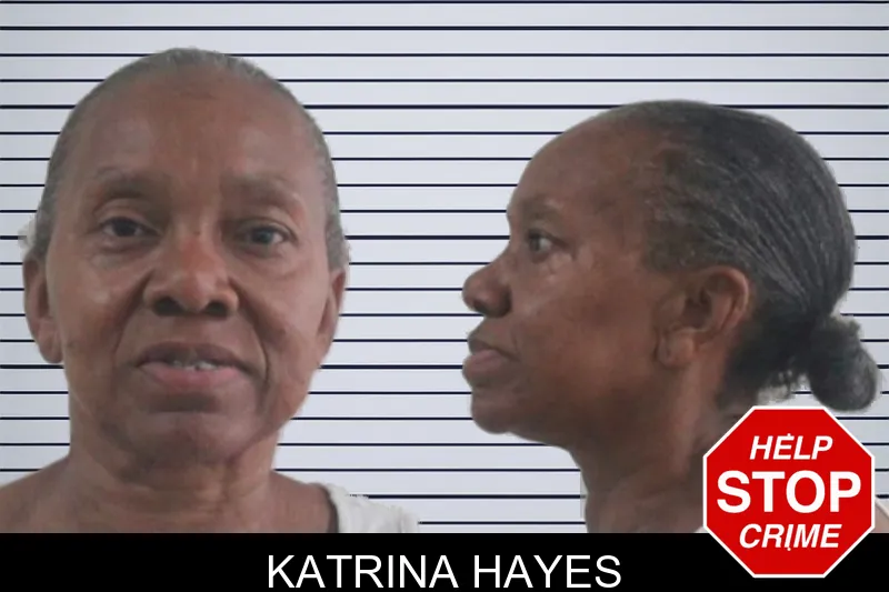 Katrina Hayes mugshot