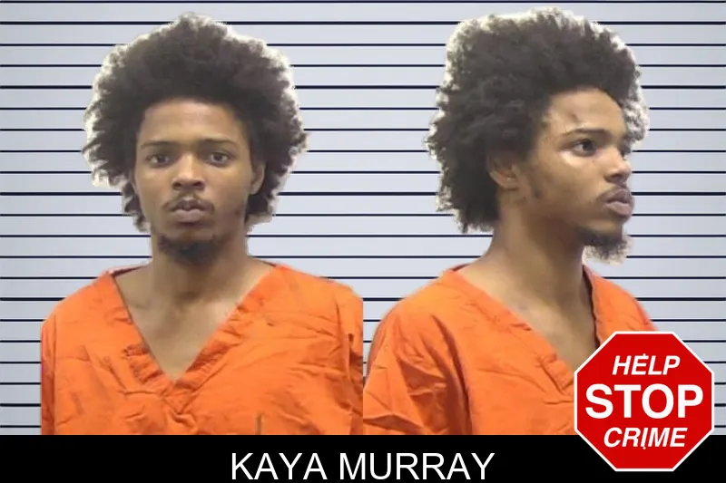 Kaya Murray mugshot