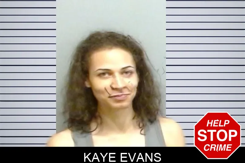 Kaye Evans mugshot