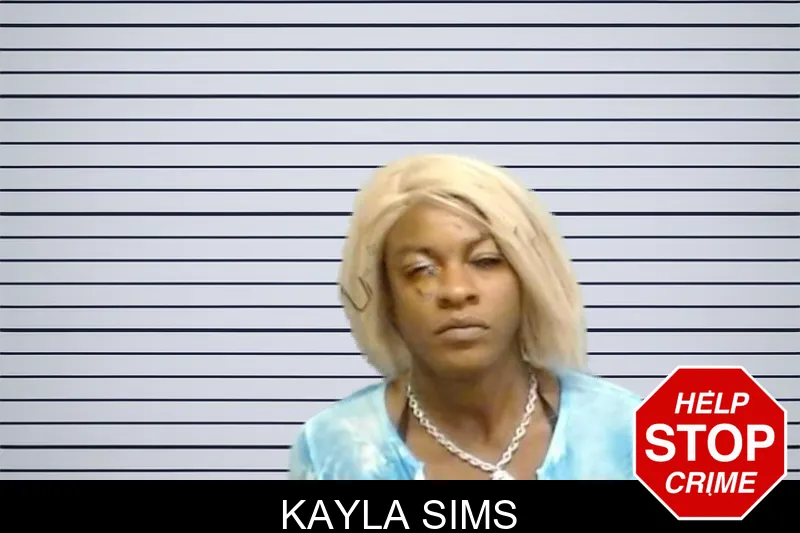 Kayla Sims mugshot