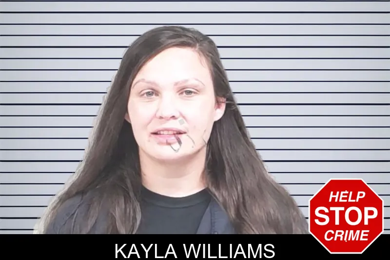 Kayla Williams mugshot