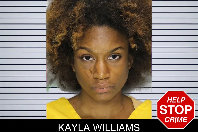 Kayla Williams mugshot