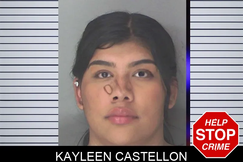 Kayleen Castellon mugshot