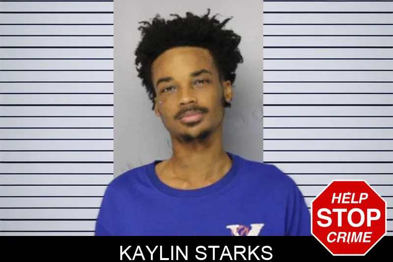 Kaylin Starks mugshot