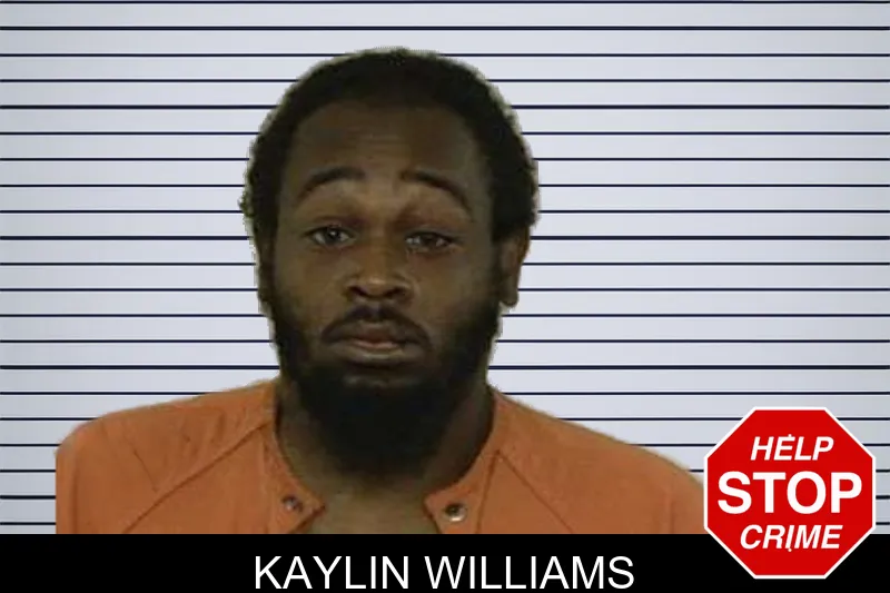 Kaylin Williams mugshot