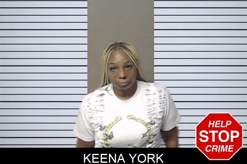 Keena York mugshot