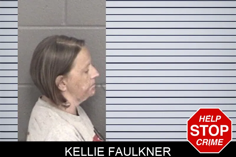 Kellie Faulkner mugshot