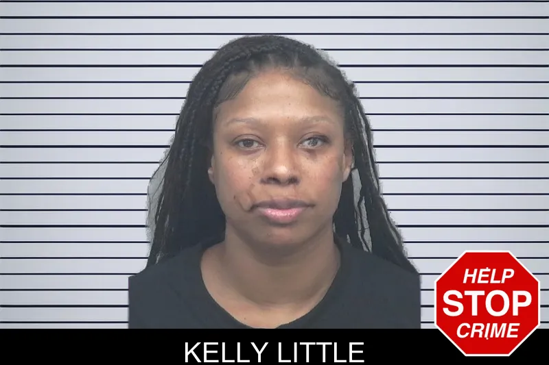 Kelly Little mugshot