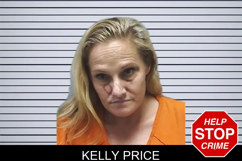 Kelly Price mugshot