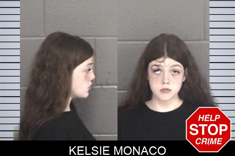 Kelsie Monaco mugshot