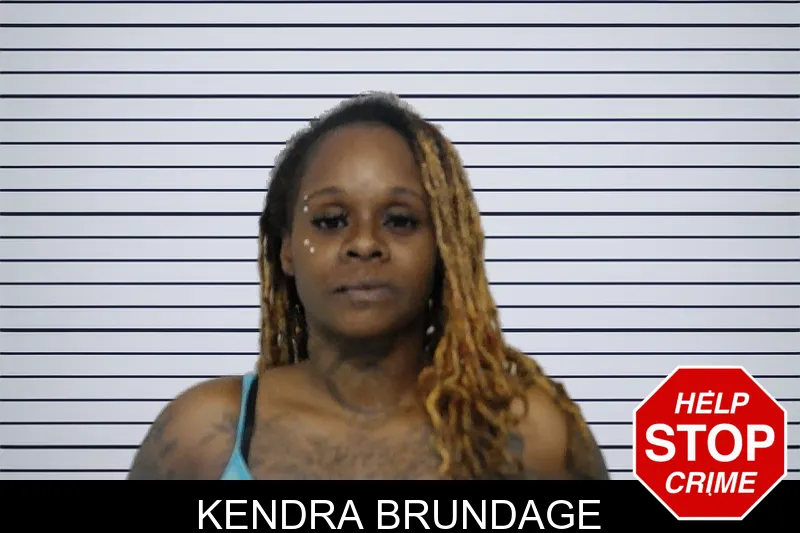 Kendra Brundage mugshot