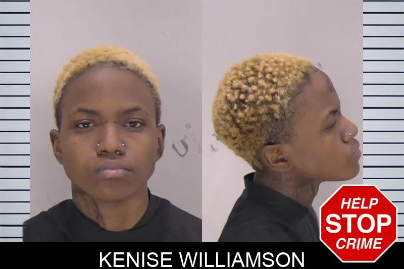 Kenise Williamson mugshot