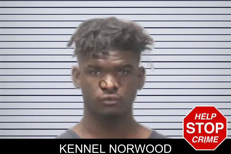 Kennel Norwood mugshot