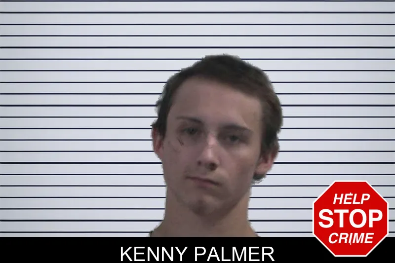 Kenny Palmer mugshot