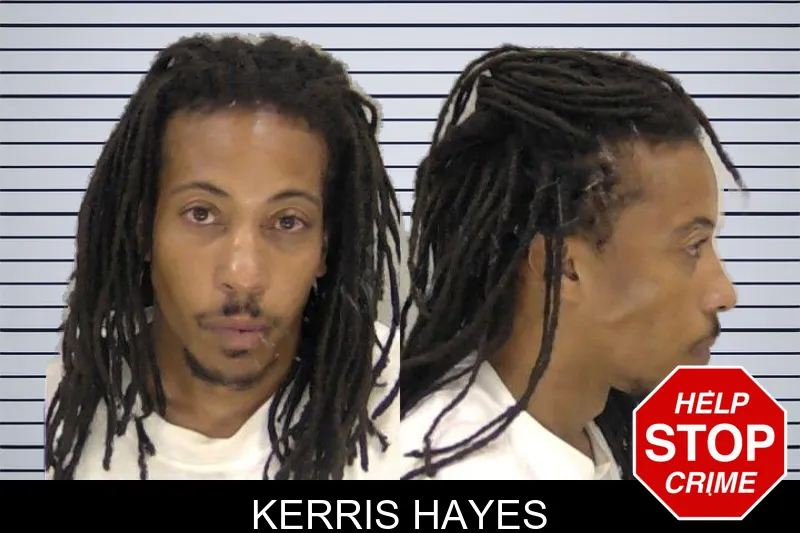 Kerris Hayes mugshot