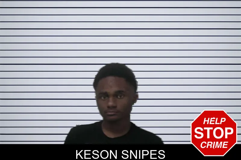 Keson Snipes mugshot