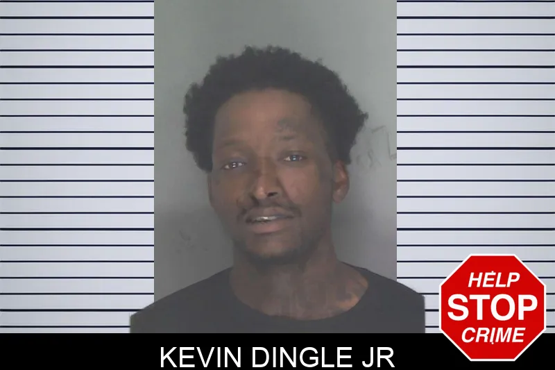 Kevin Dingle Jr mugshot