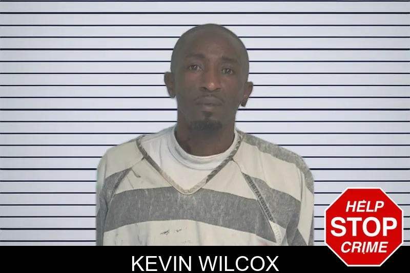 Kevin Wilcox mugshot