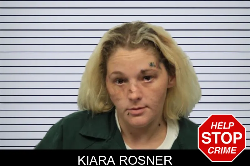 Kiara Rosner mugshot