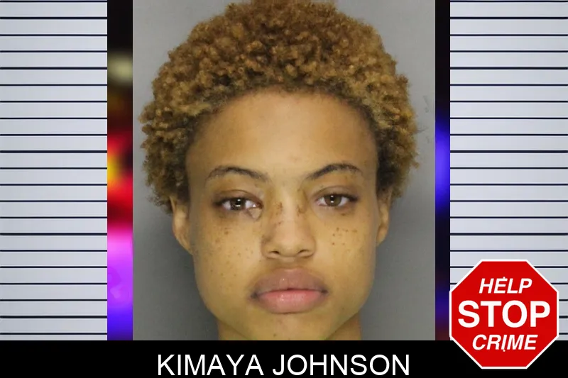 Kimaya Johnson mugshot – Cobb County , Georgia Kimaya Johnson mugshot