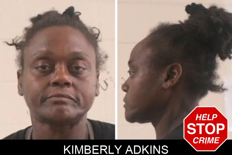 Kimberly Adkins mugshot