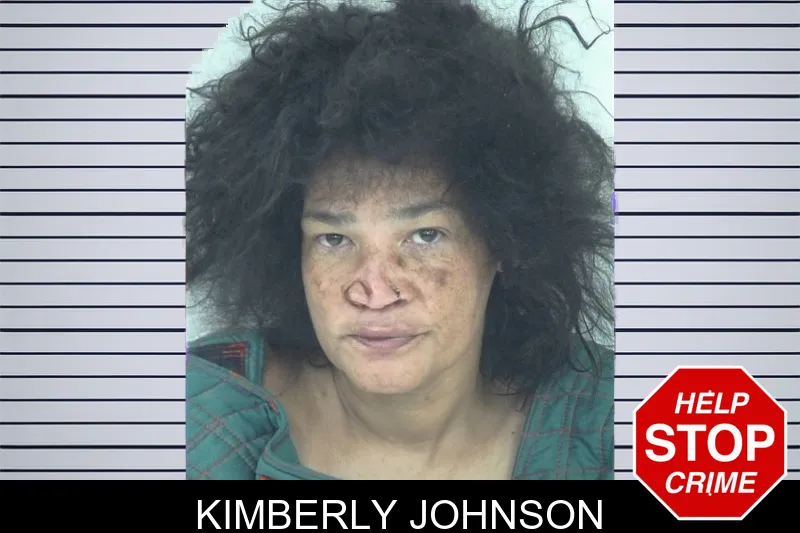 Kimberly Johnson mugshot