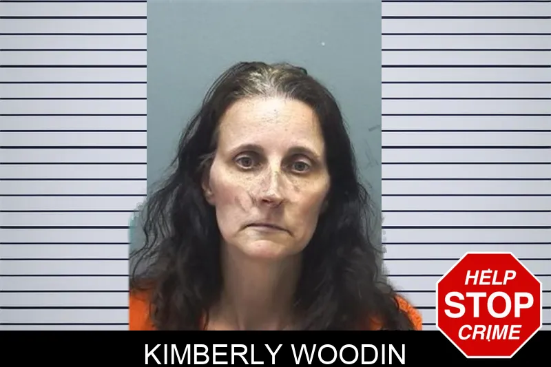 Kimberly Woodin mugshot