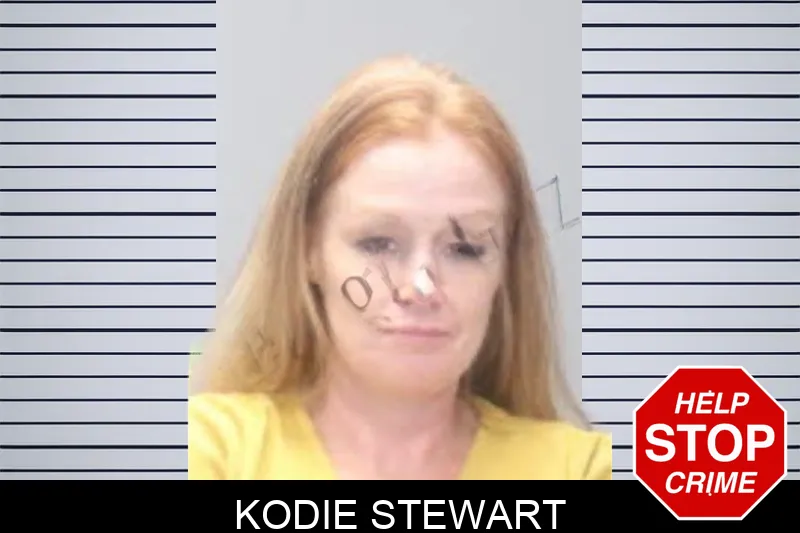 Kodie Stewart mugshot