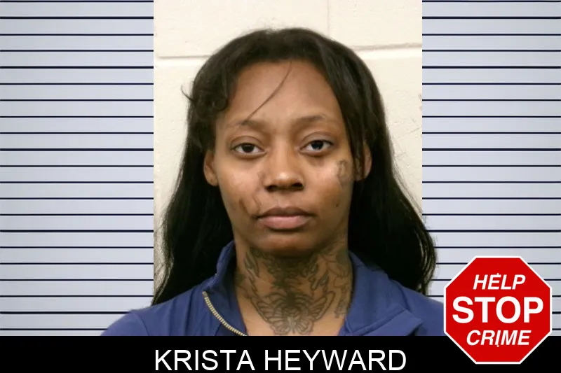 Krista Heyward mugshot