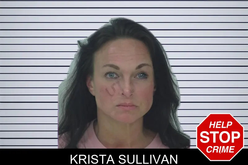 Krista Sullivan mugshot