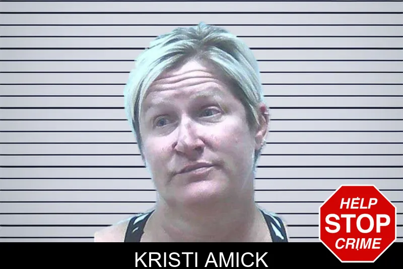 Kristi Amick mugshot