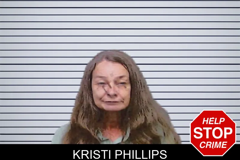 Kristi Phillips mugshot