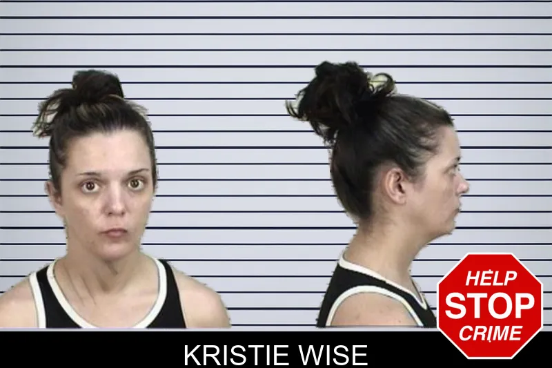 Kristie Wise mugshot