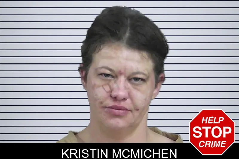 Kristin McMichen mugshot