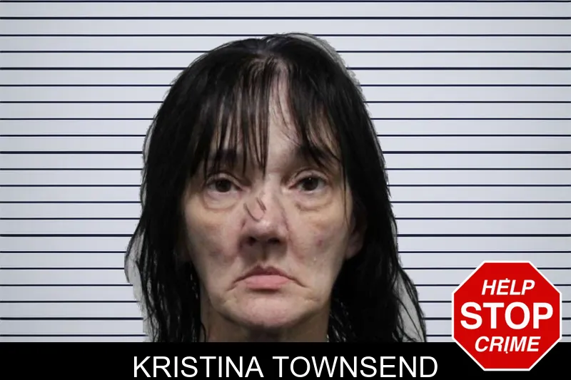 Kristina Townsend mugshot