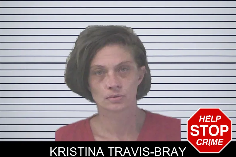 Kristina Travis-Bray mugshot