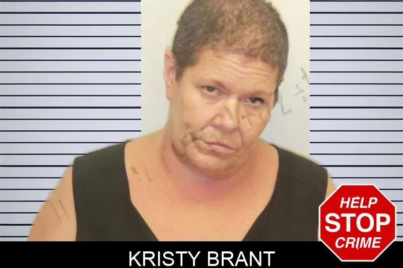 Kristy Brant mugshot