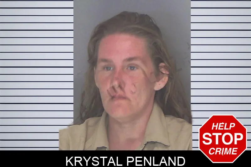 Krystal Penland mugshot