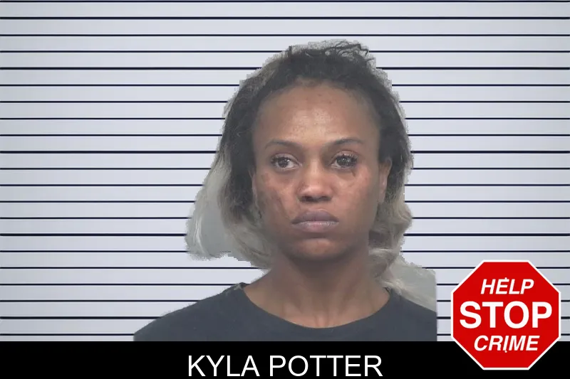 Kyla Potter mugshot
