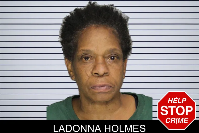 Ladonna Holmes mugshot