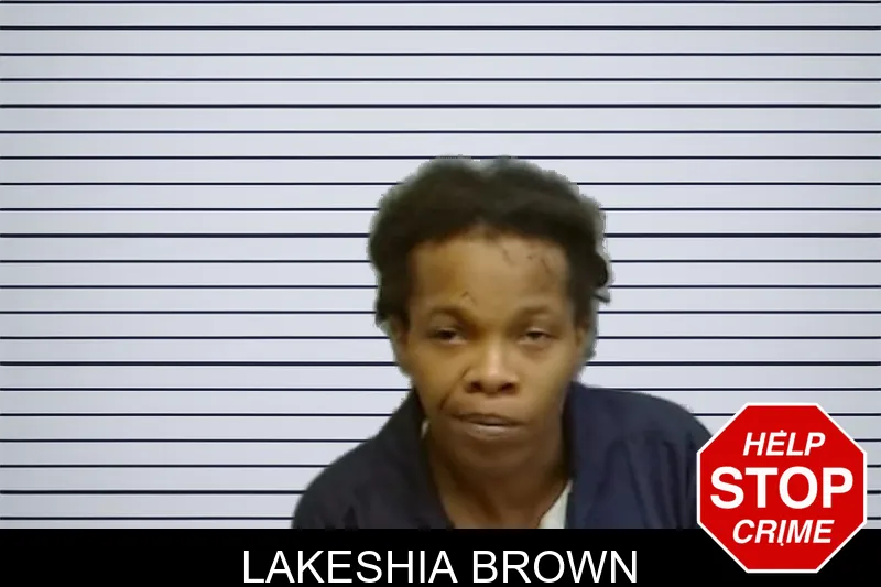 Lakeshia Brown mugshot