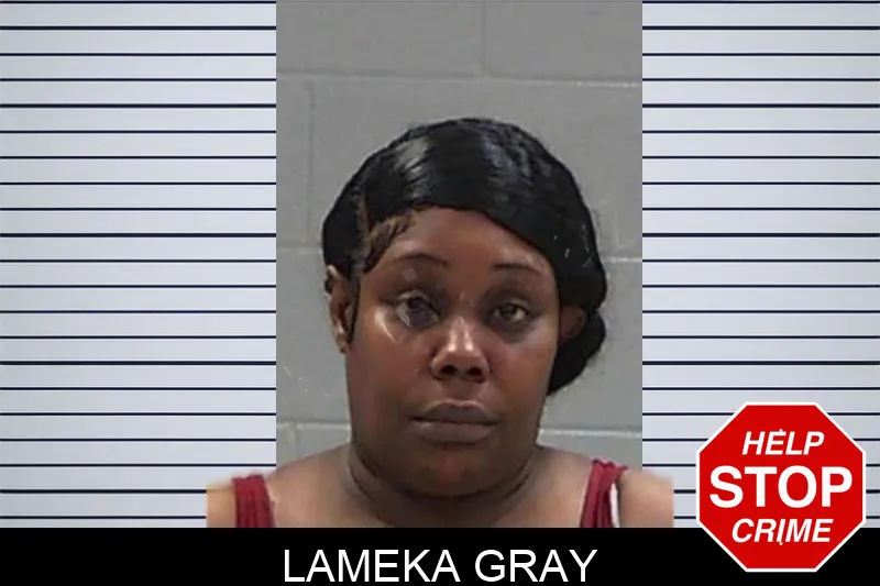Lameka Gray mugshot