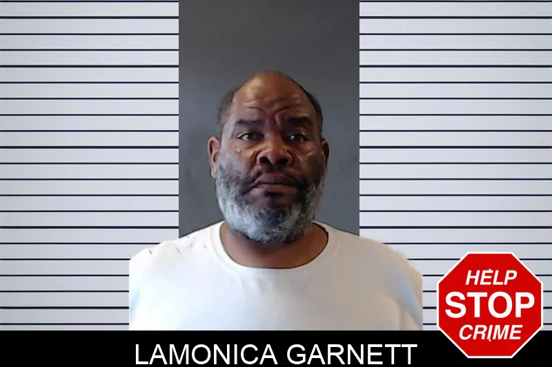 Lamonica Garnett mugshot