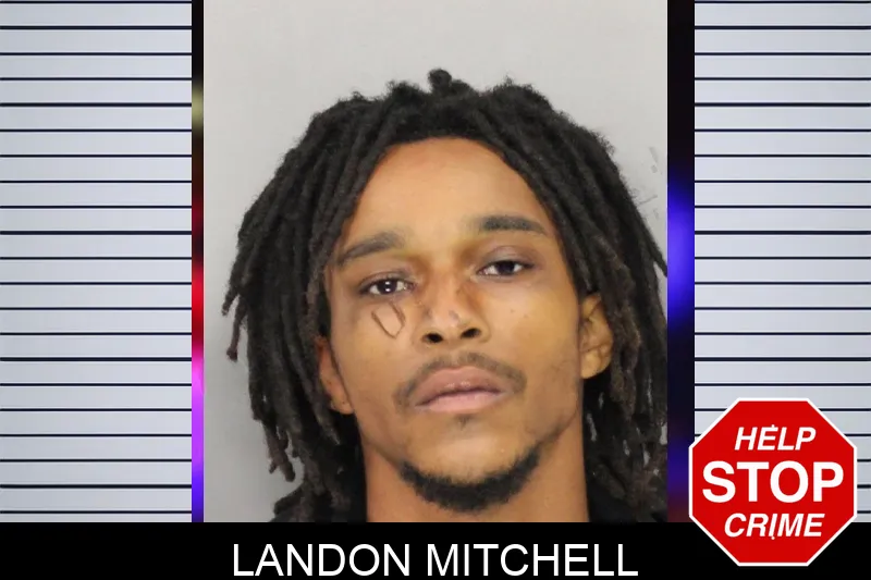 Landon Mitchell mugshot