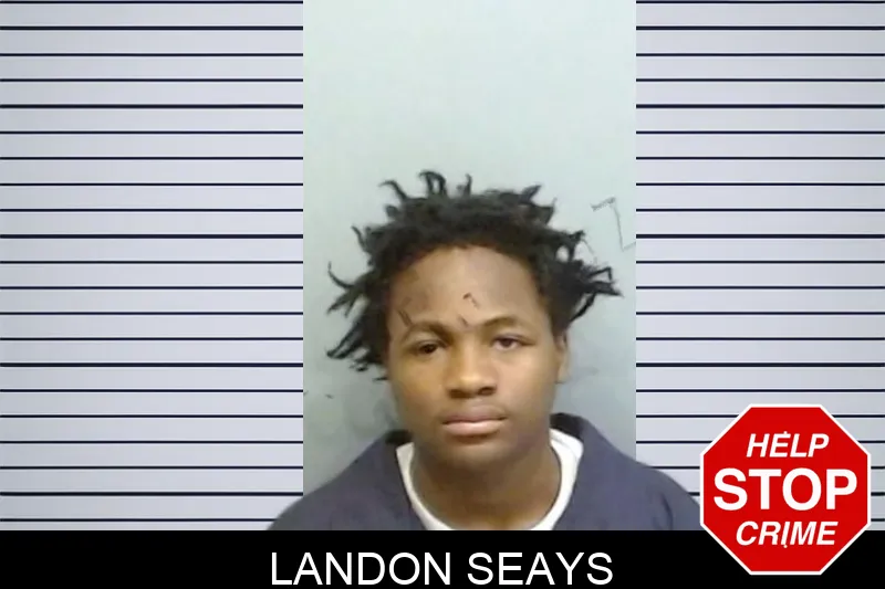 Landon Seays mugshot